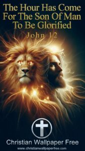 Son Of Man Glorified John 12
