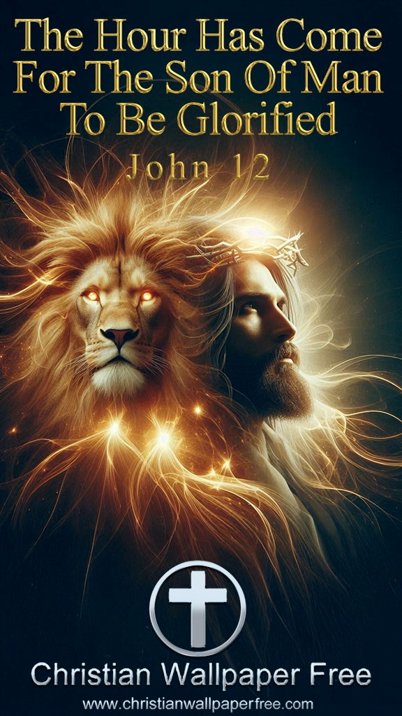 Son Of Man Glorified John 12